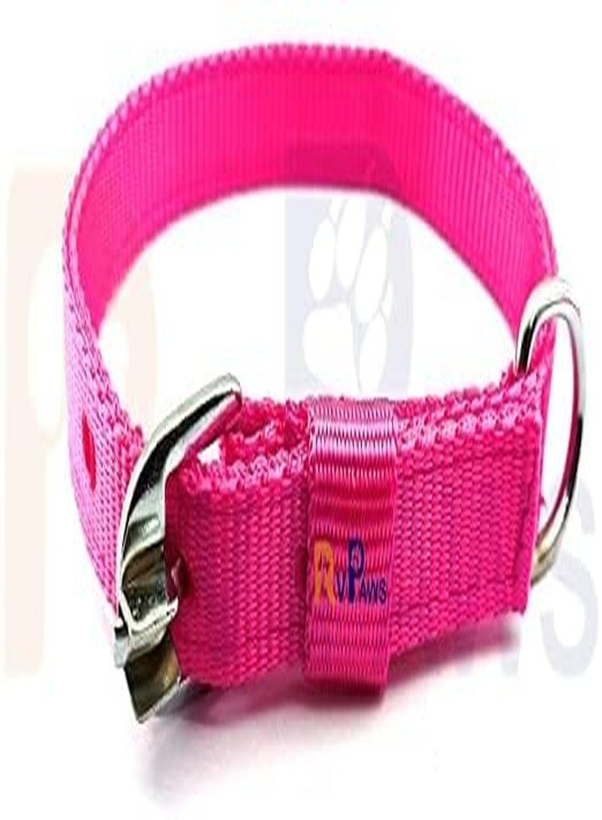 Pups&Pets طقم طوق ومقود من النايلون من Pups&Pets مقاس 22 مم، طقم طوق ومقود قابل للتعديل بشريط ناعم مقاس 0.75 بوصة، مثالي للكلاب الصغيرة والمتوسطة الحجم والجراء (وردي) - Image 2